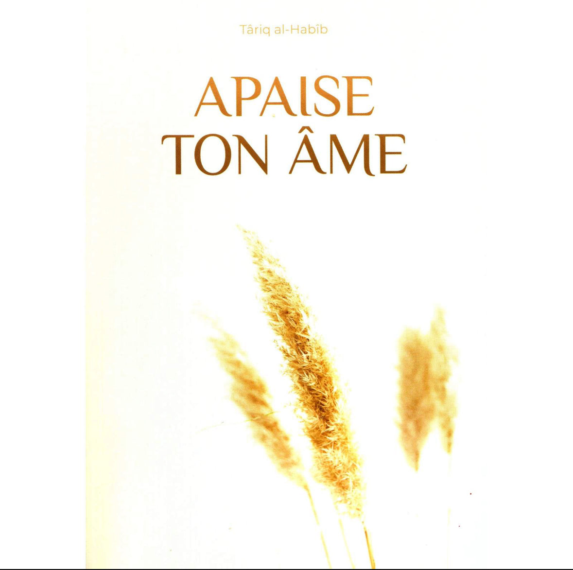 Apaise Ton Âme, De Tariq Al-Habib